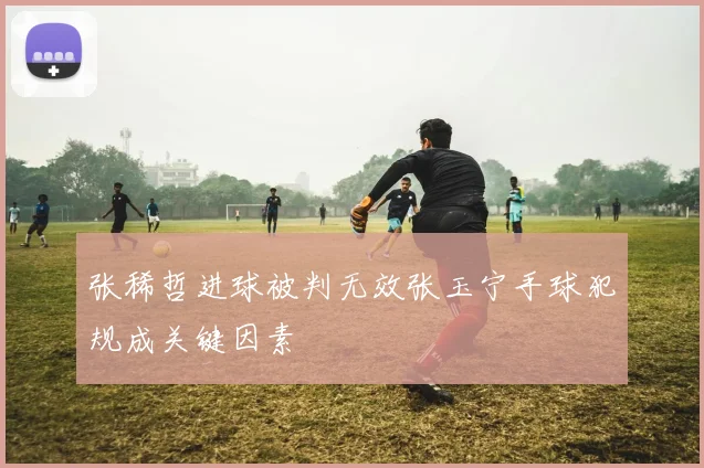 张稀哲进球被判无效张玉宁手球犯规成关键因素