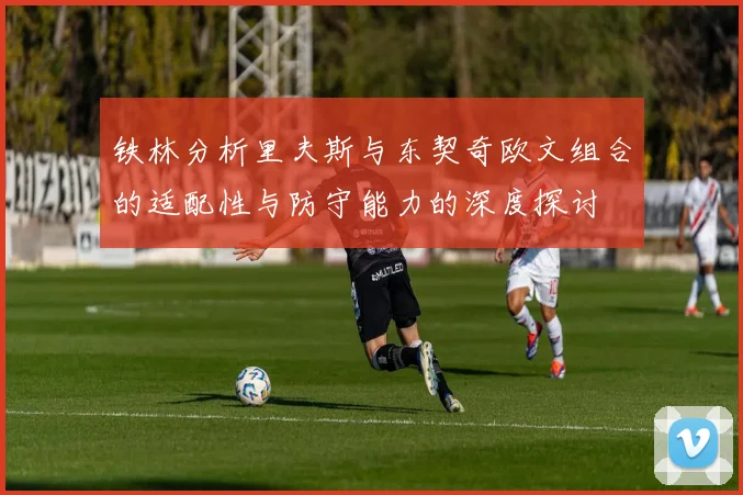 铁林分析里夫斯与东契奇欧文组合的适配性与防守能力的深度探讨